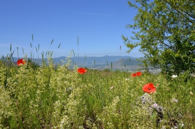 ausflug